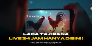 S128 Sabung Ayam: Taruhan Cerdas dengan Jenis Ayam Terbaik