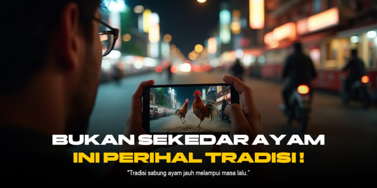 S128: Rahasia Sabung Ayam Online dengan Peluang Menang Tinggi