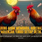 Rahasia Taruhan Sabung Ayam di SV388 yang Wajib Diketahui