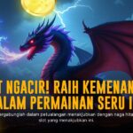 Pragmatic Play: Raja Slot dengan Maxwin77 Terbesar