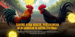 Menguak Rahasia Ayam Bangkok di Dunia Sabung Ayam SV388
